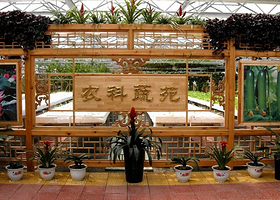 苍山现代农业示范园