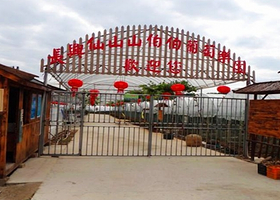 山伯伯四季果园