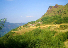 贡鸭山森林公园