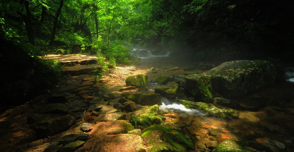 辽宁本溪汤沟绿石谷森林公园一日跟团游【成人 06:00】
