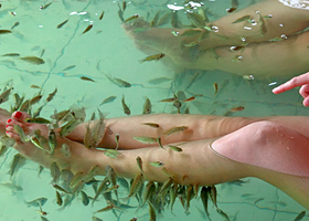 中山天和温泉度假村