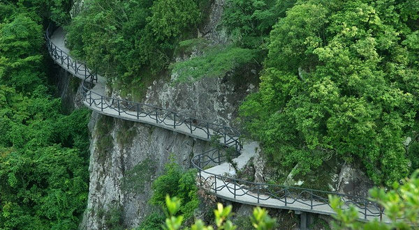 龙湾潭国家森林公园