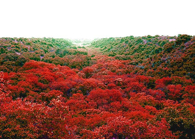 阜新大清沟景区
