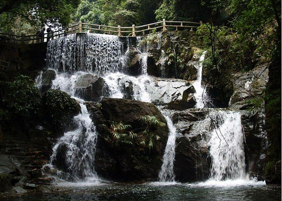鼎湖山_鼎湖山风景区_鼎湖山门票 - 热点综合