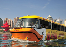青岛冒险鸭水陆两栖观光巴士