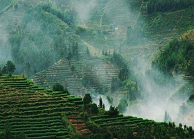 新昌中国茶市景区