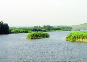 沭河湿地公园