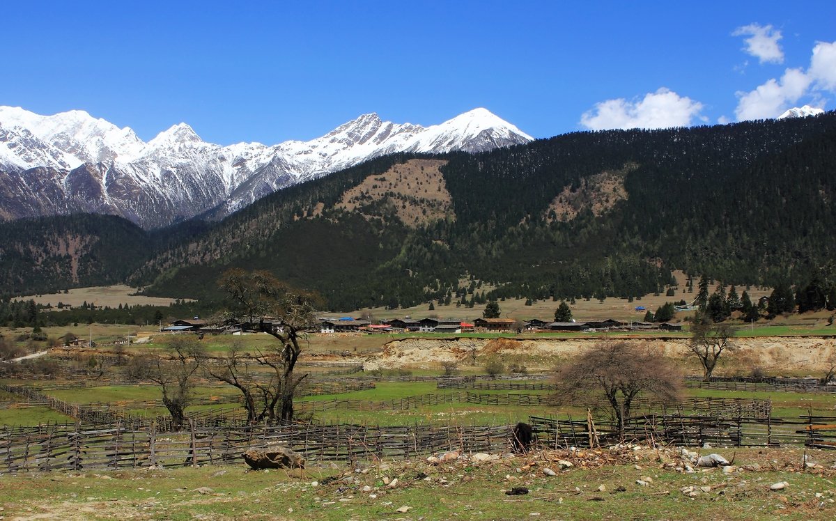 鲁朗林海风景区|鲁朗林海风景区门票将从80元