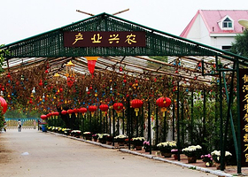 河口新户百枣园