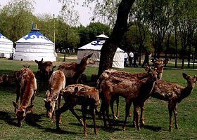 成吉思汗草原生态园