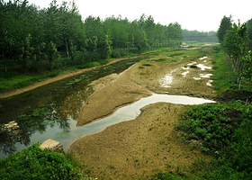 平原林海自驾游