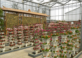 巴城生态观光园