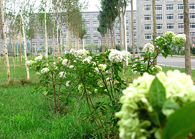 辽宁职业学院景区