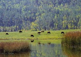 吉木乃口岸旅游区