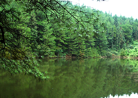 大垭口森林公园