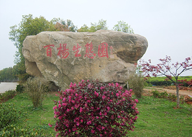 广德百杨生态园