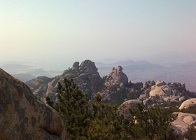 大河东森林公园