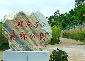 象山鲤龙潭森林公园