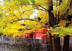 雕窝村民俗旅游村