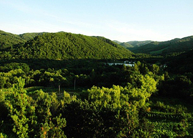 青山国家森林公园