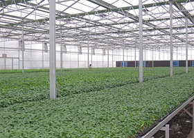 现代农业科技示范园