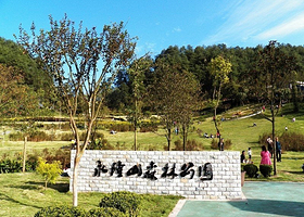 永隆山森林公园