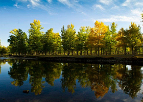 青河青龙湖公园