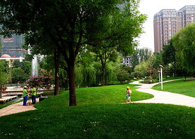 杉木林生态家园