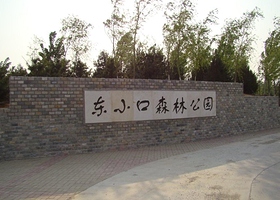 东小口森林公园