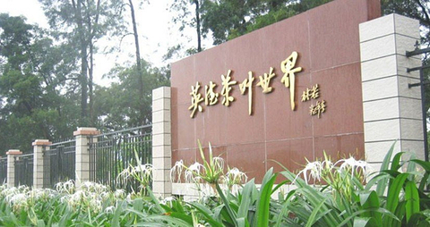 【2013清远英德茶叶世界旅游】清远英德茶叶世界旅游景点大全,清远英德茶叶世界旅游玩法攻略-去哪儿网度假频道