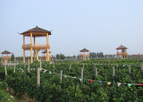 郝家绿色生态观光园