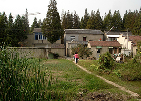 江心洲大套风光带农家乐