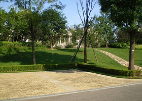 九鼎轩运动主题公园