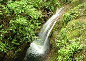 神农架宋洛风光