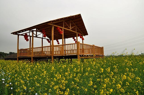盈香生态园旅游