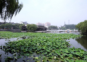 荷花池公园