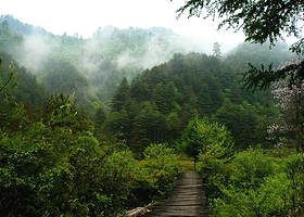 平河梁森林公园