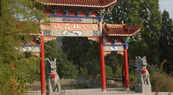 庙山森林公园