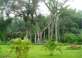 春城园艺示范园