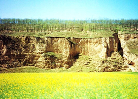 黄土地窑洞生态度假庄园