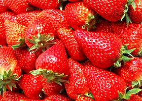 北京乐乐草莓园