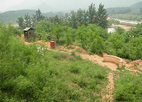 白河鑫源来山庄真人CS