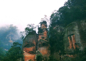 亚热带常绿阔叶林