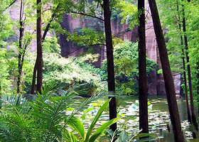 莲花自然保护区