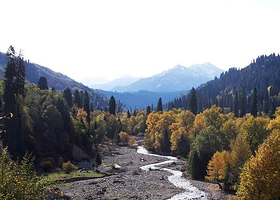 红柳生态观光园