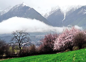 易贡国家地质公园