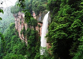 大窝铺原始森林