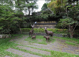 台湾知本森林游乐区
