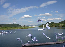 白鹭岛温泉公园