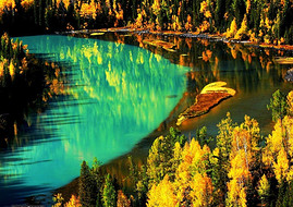 c9fff2811e4b2e44c8d65eac.jpg_r_270x190x90_a62ec3ab.jpg